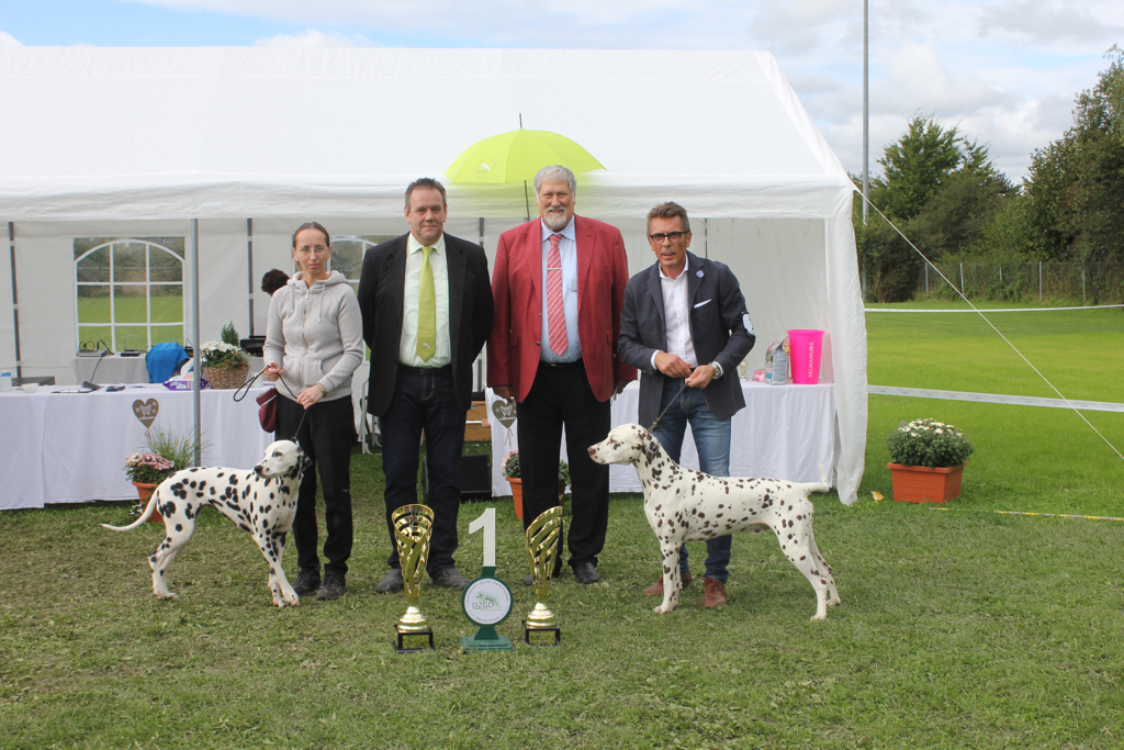 Erfolgreiches Wochenende für die Dalmatiner vom Gohliser Schlösschen in Vöhringen